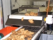 Biscuit conveyor belt