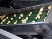 Tube top cleated conveyor belts (reduces damaged product)