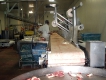 Mutton and beef boning room belts